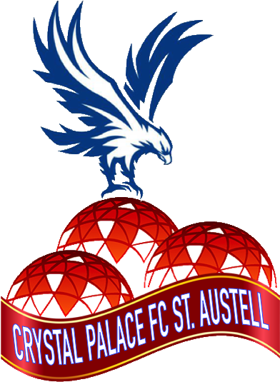 Crystal Palace F - Crystal Palace F.c. (538x538), Png Download