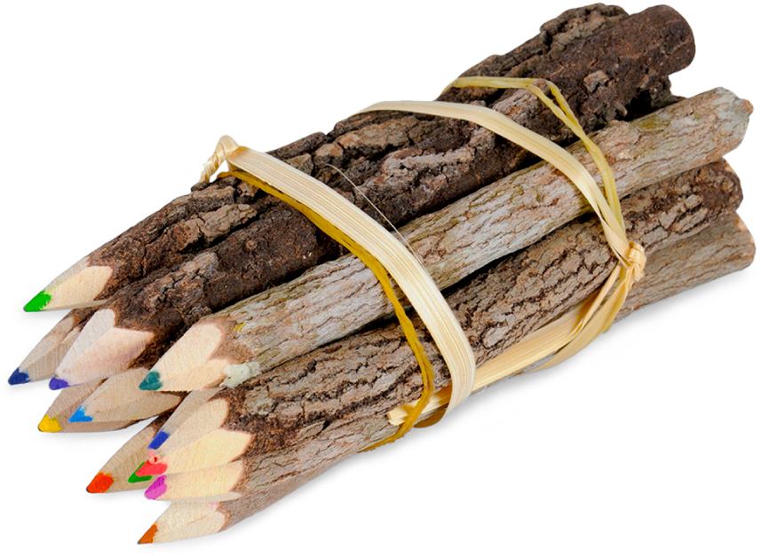 Website Category Image Children 1 - Driftwood (1200x900), Png Download