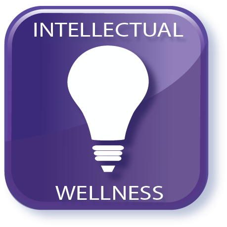 As Lifetime Learners, Our Intellect Is Fed By An Openness - Welcome To St Tropez Album (467x467), Png Download