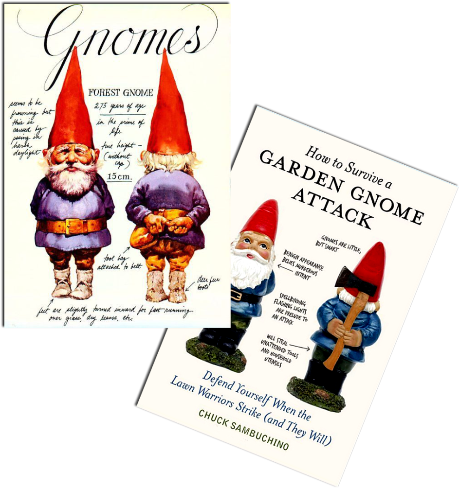 “has A Senostatic, Rather Than A Senolytic - Gnomes Wil Huygen (980x1024), Png Download