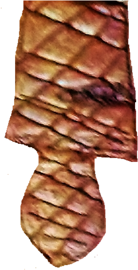 1836 - Wood (301x557), Png Download