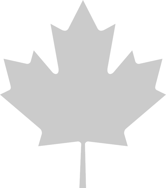 Maple-304159 960 720 - Transparent Canada Maple Leaf Png (637x720), Png Download