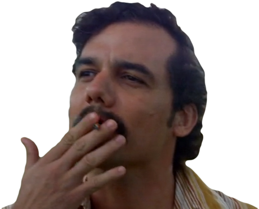 Lien Direct, - Human (972x732), Png Download