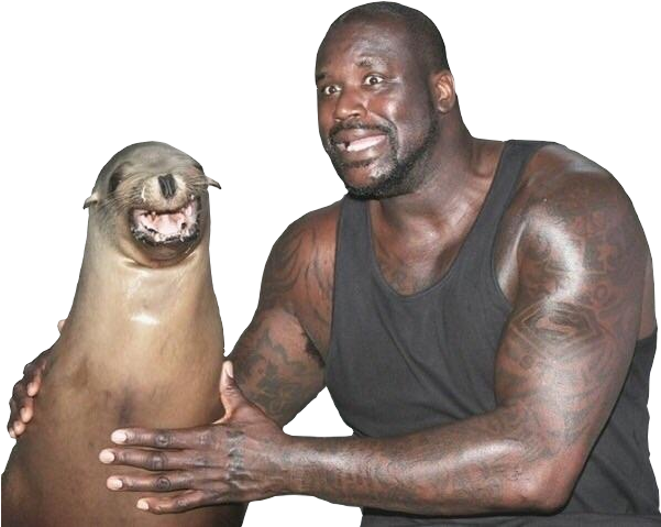 Banner Transparent Shaq Transparent Smile - Shaquille O Neal With Seal (600x491), Png Download