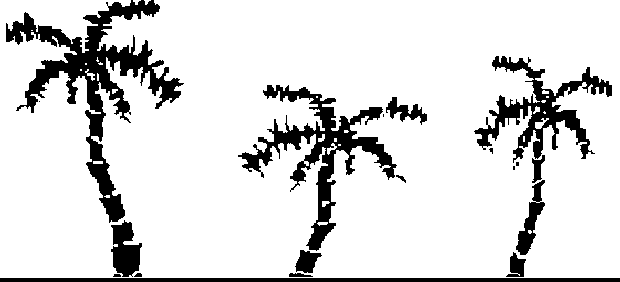 Miami Palms - Hotline Miami Palm Png (620x282), Png Download