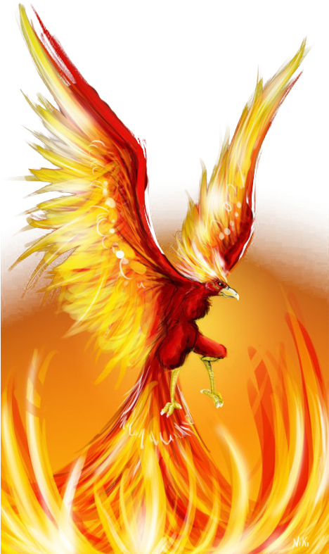 Fire Wing Png - Fire Phoenix (467x800), Png Download