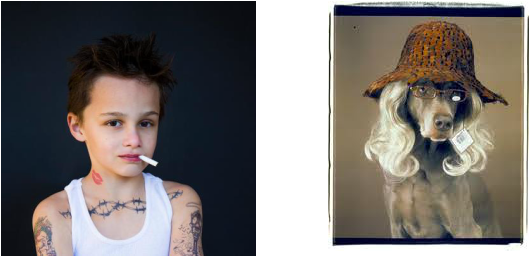 Picture - William Wegman (530x257), Png Download