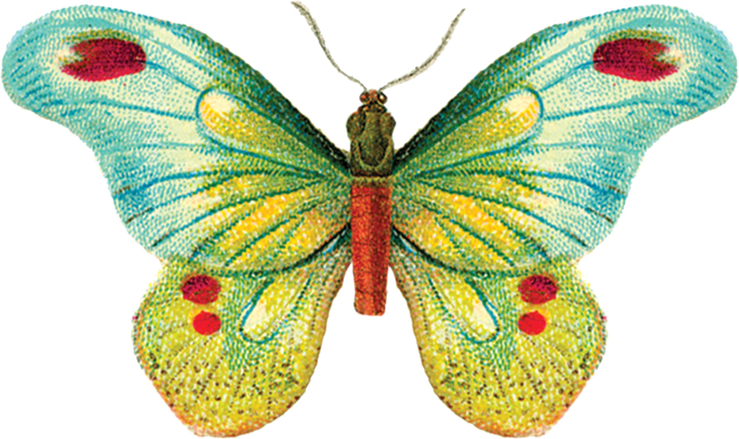 Tattly Butterfly 1 Fiona Richards 00 V=1532012833 - Tattly Temporary Tattoos, Butterfly 1, 5ml (3000x3000), Png Download