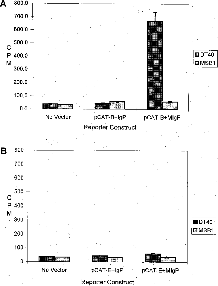 A, Bmresults Of Cat Assays , Using The Multiple Ig - Diagram (729x954), Png Download