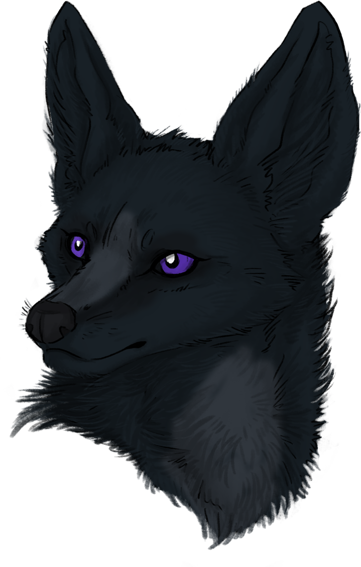Sephiroth Hunter Is The Son Of Artemis Hunter And Melchior - Silver Fox (719x1129), Png Download