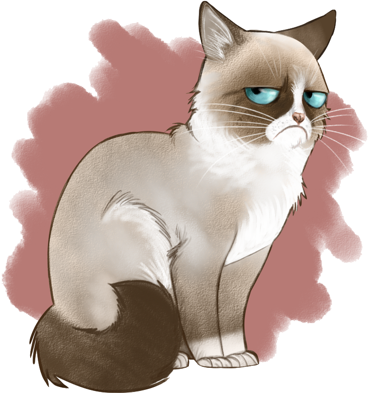 Angry Cat Png Image Background - Cross Stitch Grumpy Cat (800x845), Png Download