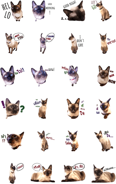 Aommy Angry Cat - Cat Yawns (420x673), Png Download