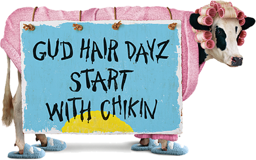 Chick Fil A Cow - Chick Fil A Breakfast Cow (519x325), Png Download