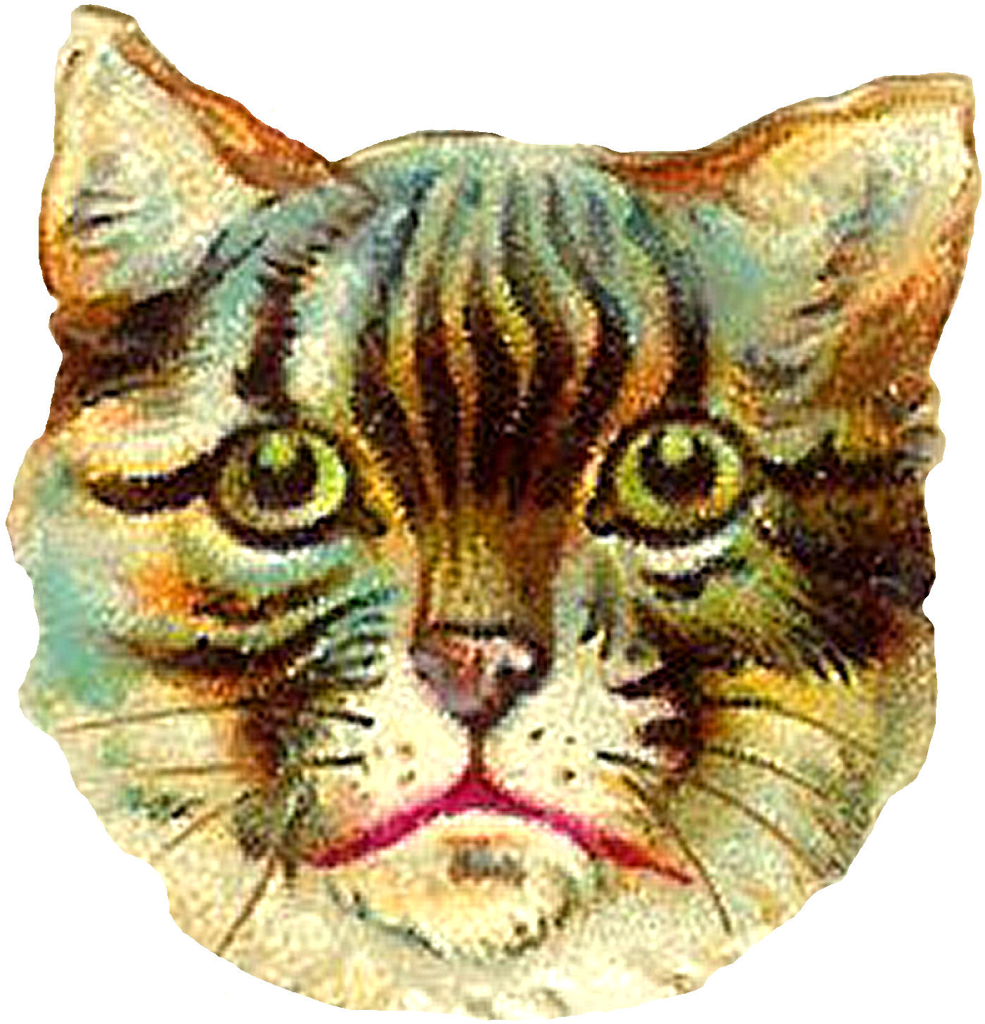 This Poor Kitty Looks Awfully Frightened I Wonder If (1477x1523), Png Download