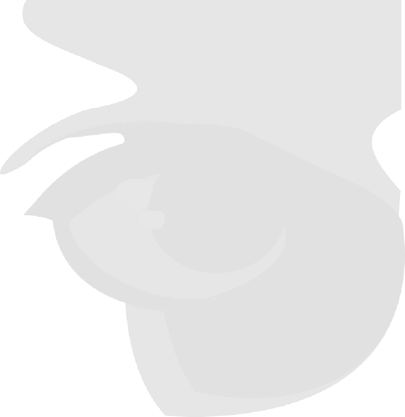 Mb Image/png - Illustration (800x823), Png Download