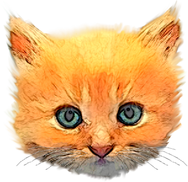 Free Images At Clker Com Vector Clip - Kitten Head Png (600x583), Png Download
