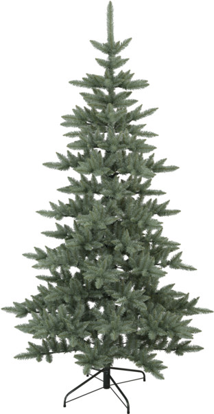 Christmas Tree Royal Blue - Balsam Fir Christmas Tree (600x600), Png Download