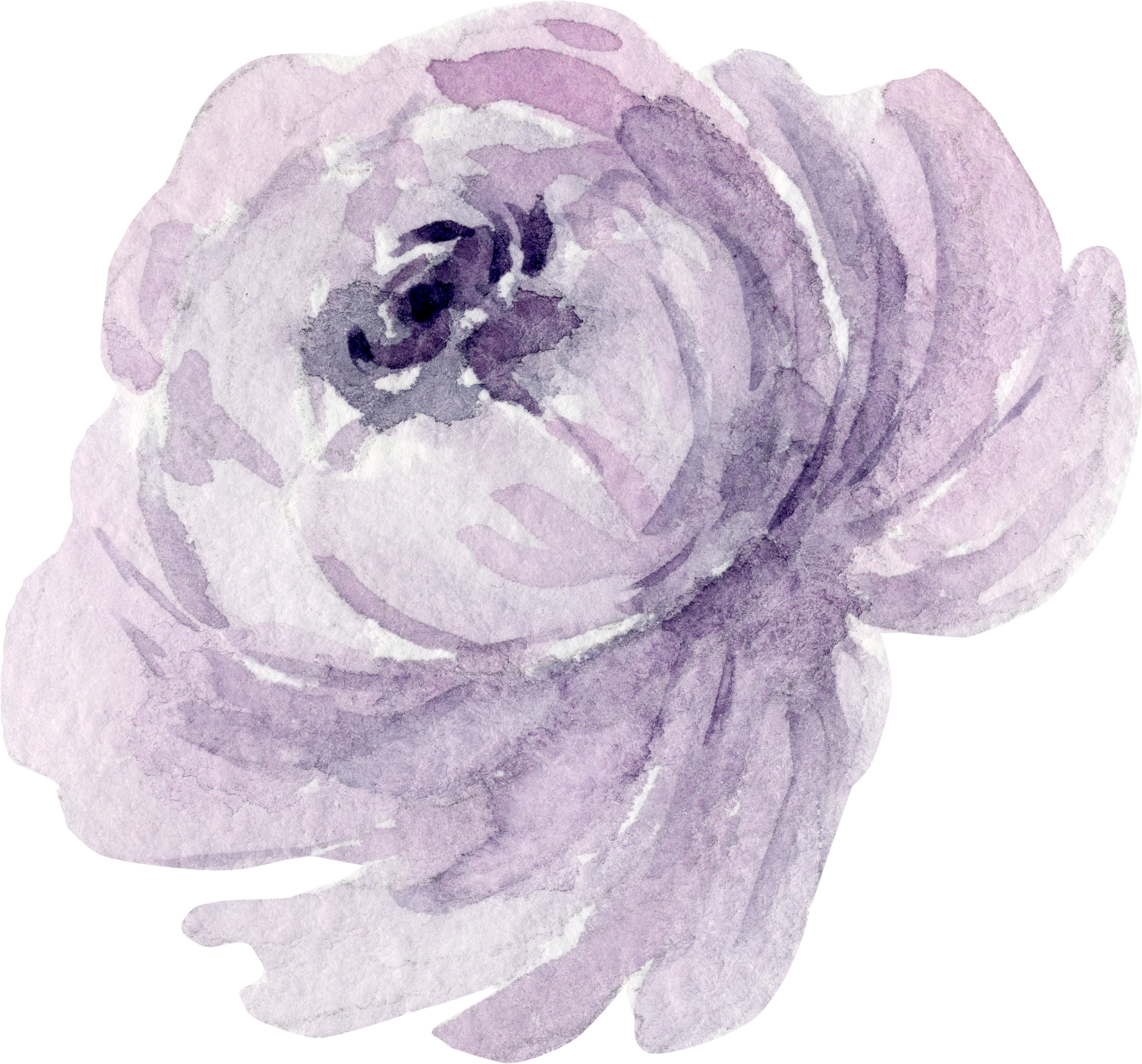 Flr - Garden Roses (2771x2583), Png Download