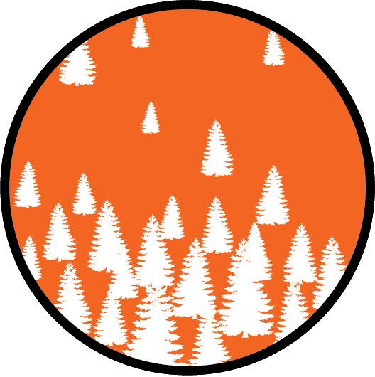 Forest Dynamics At Arctic Treeline - Nature Design, Mildew Proof And Waterproof Washable (528x530), Png Download