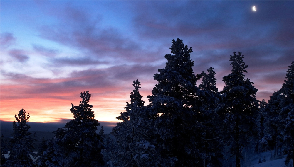 Ожидание Весны Это Как Ожидание Рая Vk (1000x1000), Png Download