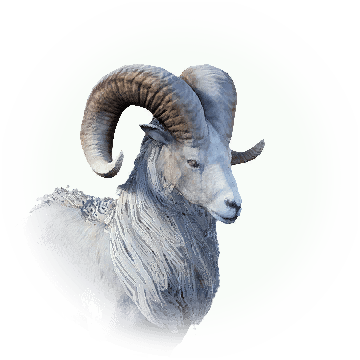Knowledge Kamasylvia Mountain Black - Transparent Png Mountain Goat Horns (360x360), Png Download