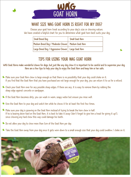 Wag Goat Horn - Hunting Dog (444x600), Png Download