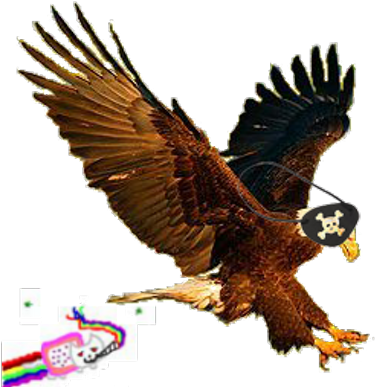 Anyanymous Lulzism - Bald Eagle (400x400), Png Download