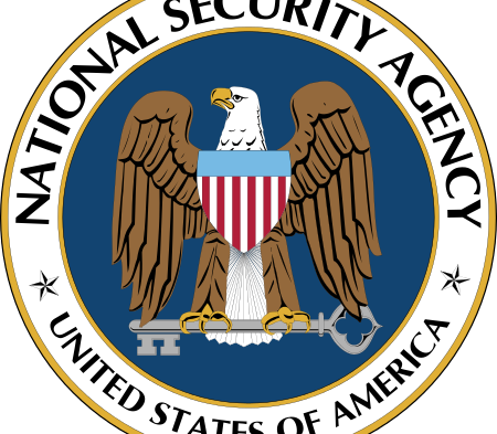 German Intelligence Agency Delivers Data To Nsa In - National Security Agency (450x393), Png Download