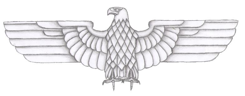 Here Are Few More Pictures Also I'm Going To See If - Bald Eagle (799x313), Png Download