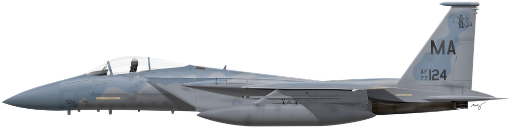 Gallery - F15 Side Profile - Free Transparent PNG Download - PNGkey