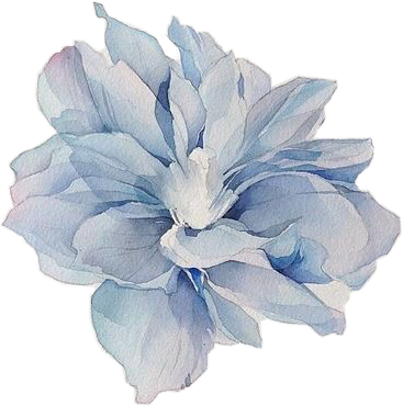 Peonies Flowers Watercolor Freetoedit - Libreta De Dibujo Creativas (367x370), Png Download