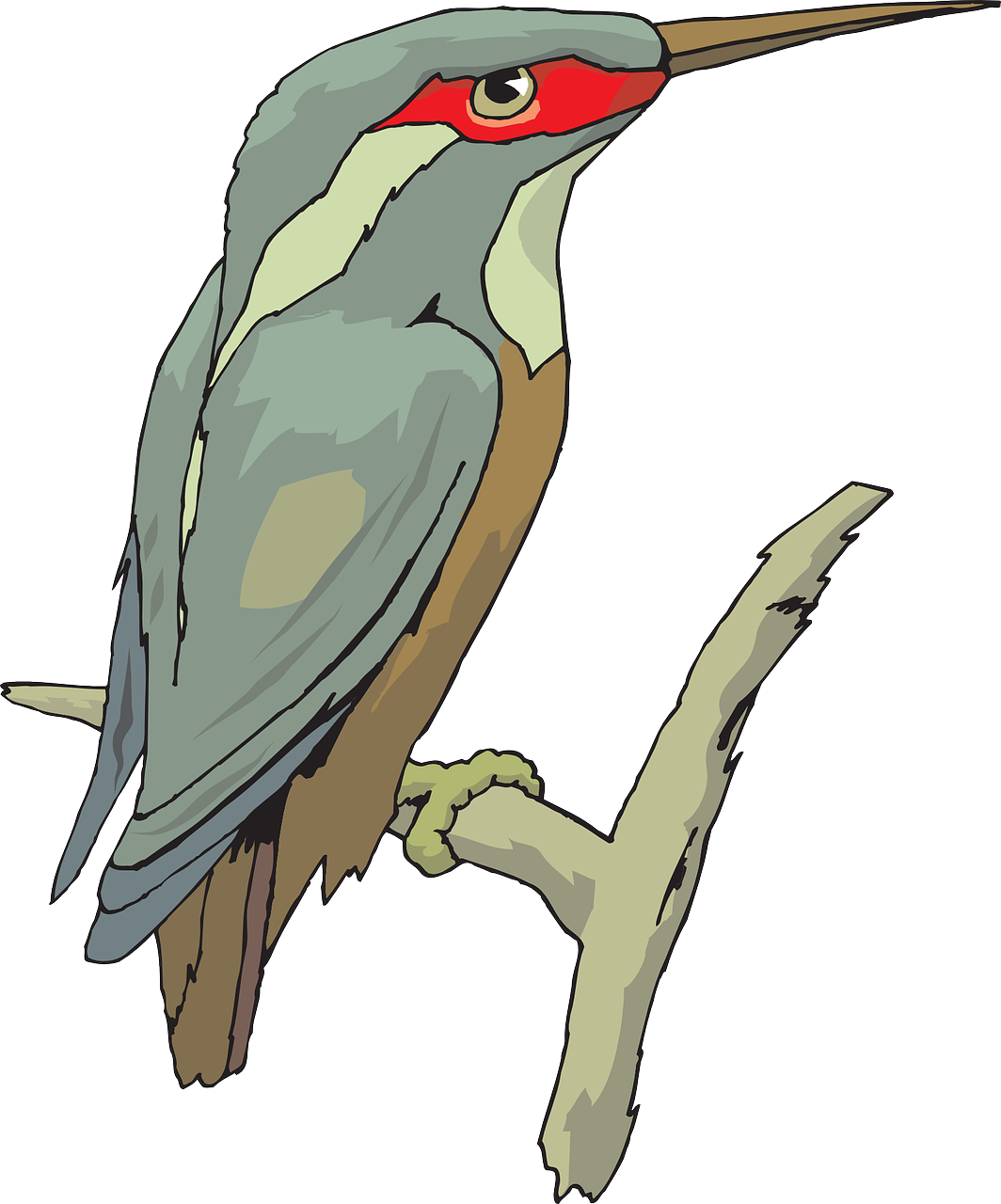 Bird Wings Beak Feathers Transparent Image - King Fisher Clipart (1064x1280), Png Download