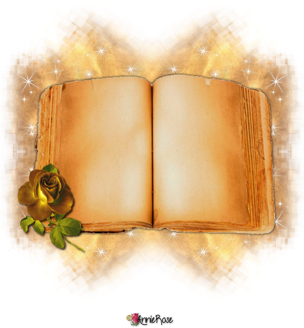 Open Book, Png Format, My Design - Illustration (700x700), Png Download