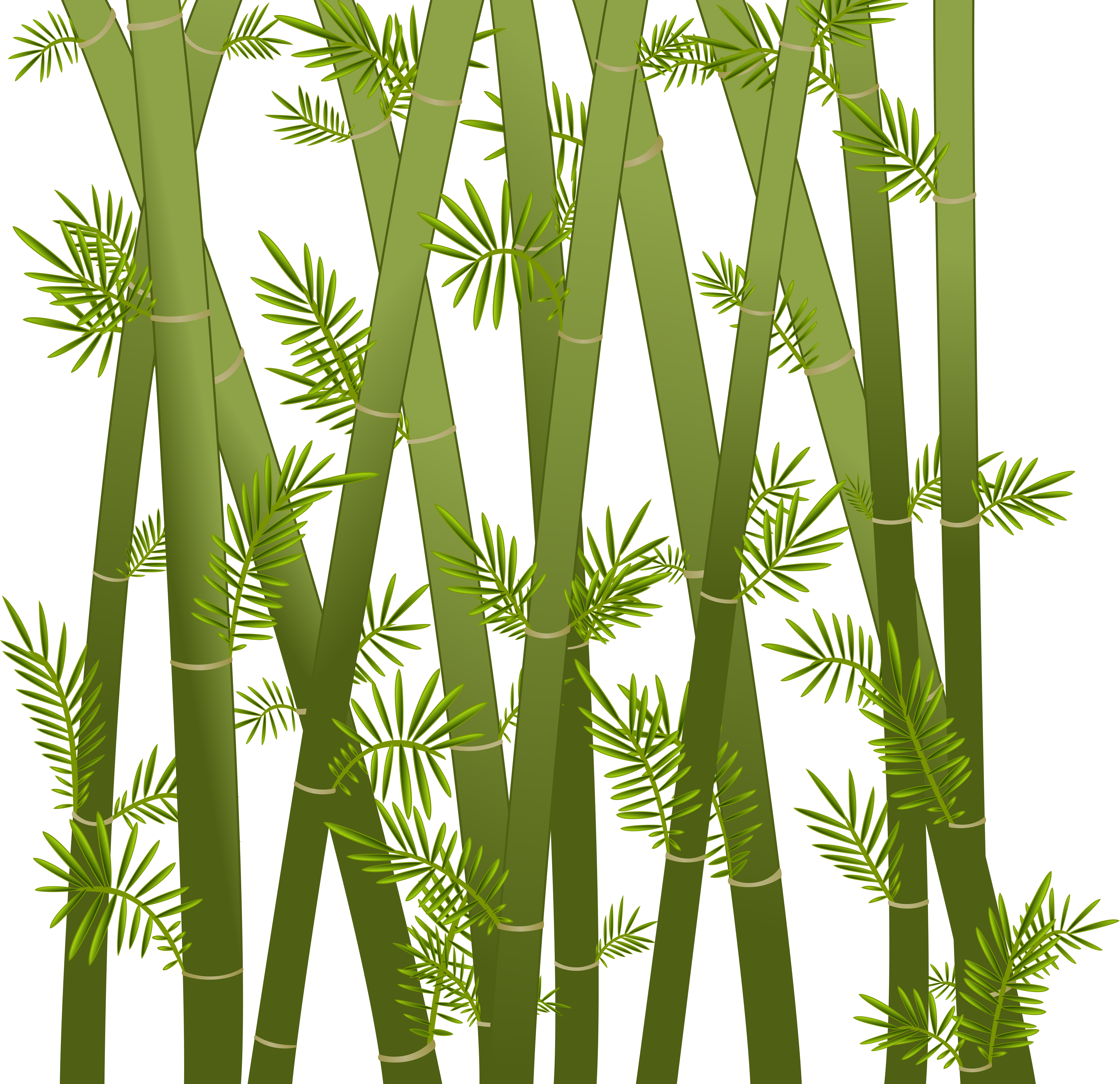 Bamboo By Blackwater627 On Deviantart - Abstract Green Bamboo On White Cross Body Bag Large (5164x5000), Png Download