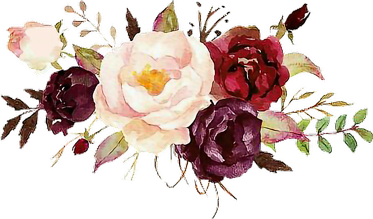 Report Abuse - Burgundy Watercolor Flowers Png (764x448), Png Download