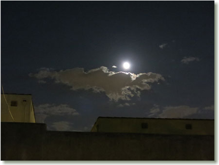 Would, Watercolor And Wood - Moon (699x340), Png Download