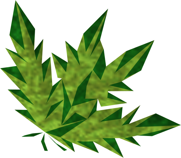 Clean Snake Weed - Weed Png (615x538), Png Download