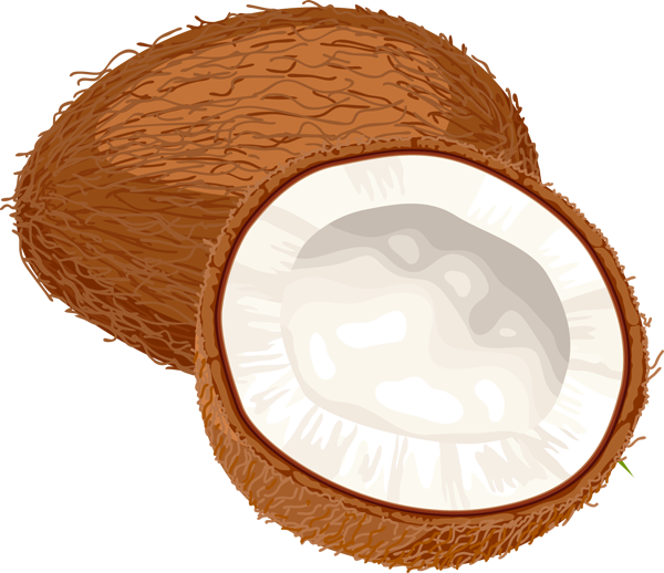 Coconut Oil Miracle: 30+ Coconut Oil Recipes Coconut (600x518), Png Download
