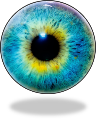 Eye Lens Eye Lens Png Eye Png Free Download - Optical Illusion Pic Of Animals (325x400), Png Download