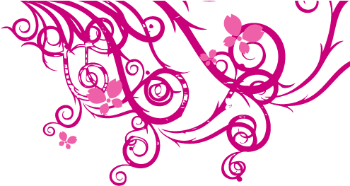 Beauty Wear - Unforgettable Sufis-timeless Poetry Of Kabir & (500x275), Png Download