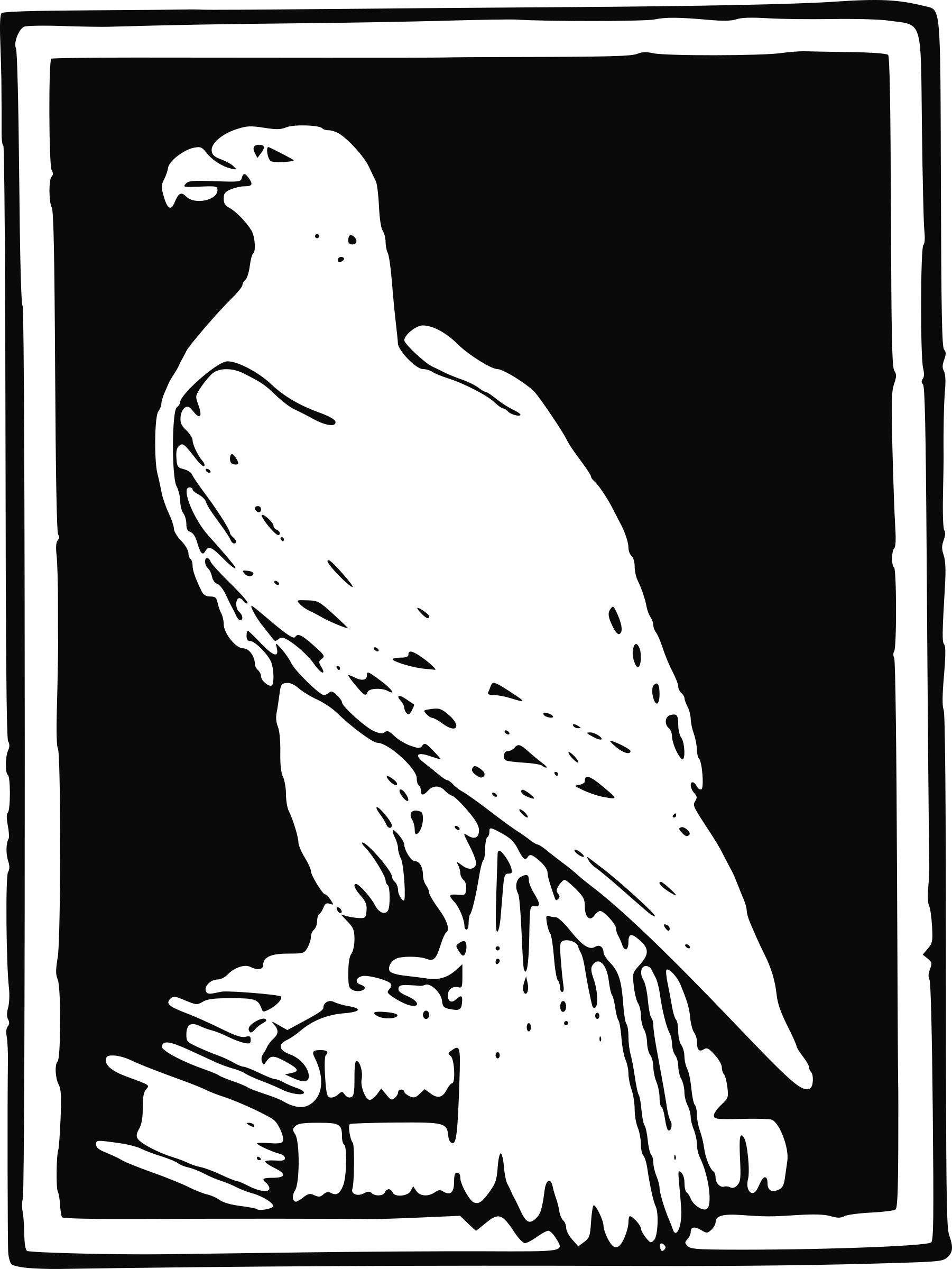 This Free Icons Png Design Of Book Eagle (1801x2400), Png Download