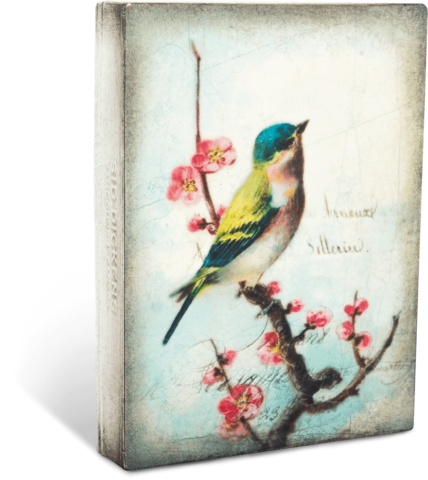 Vintage Pajaros Fondo (1100x1100), Png Download