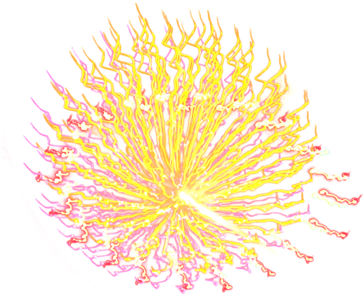 Portable Network Graphics (1400x1165), Png Download