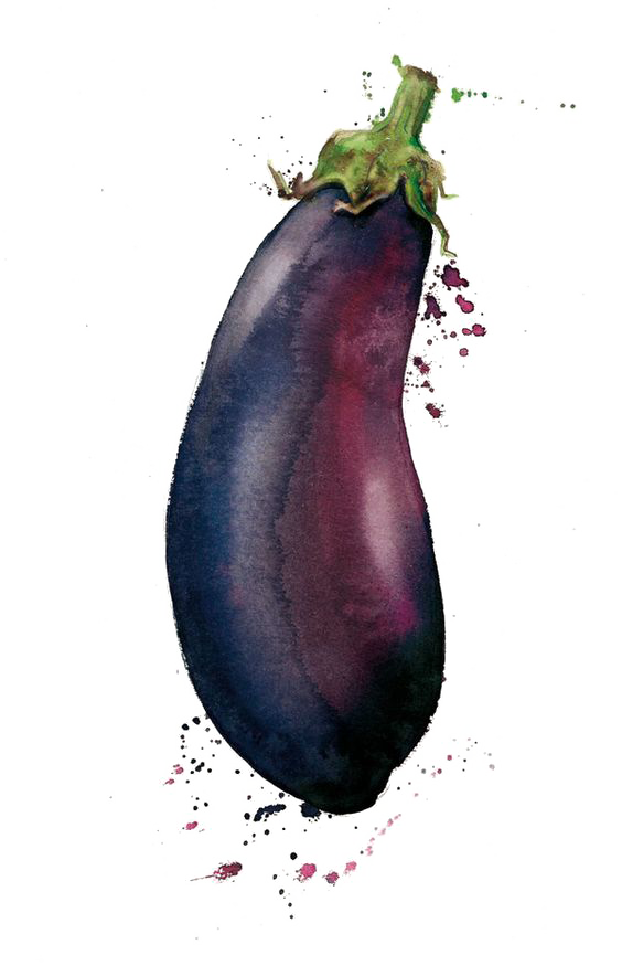 Watercolor Painting Vegetable Drawing Illustration - Eggplant Watercolor (564x875), Png Download