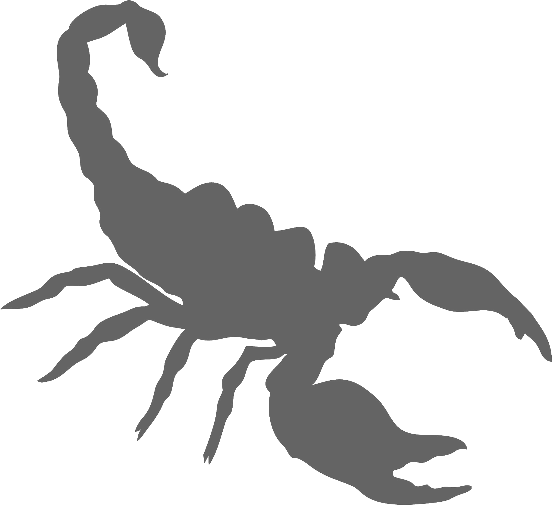 A3 Scorpion - Scorpion Png (1920x1885), Png Download