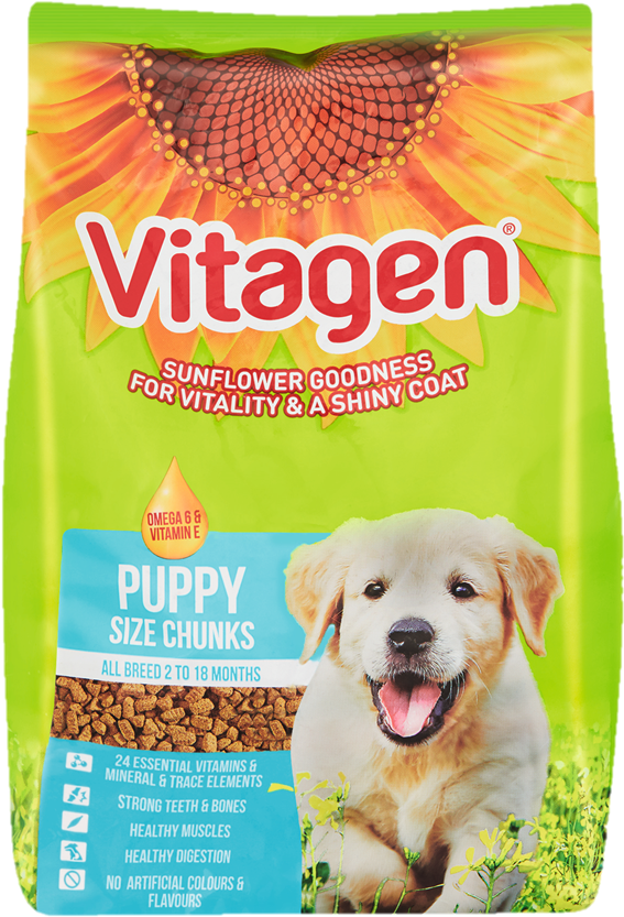 Puppy (611x885), Png Download