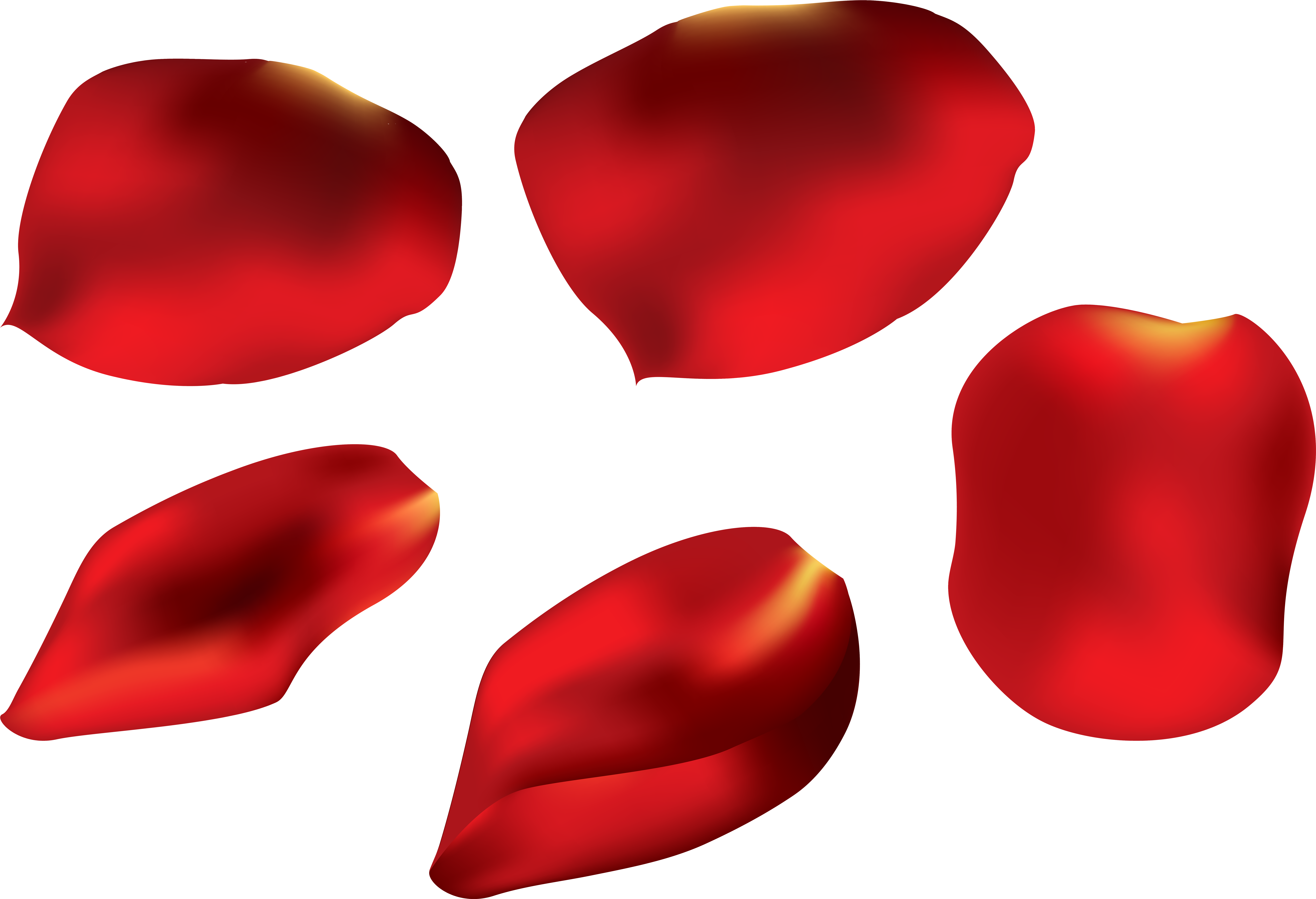 Clip Art (8000x5521), Png Download