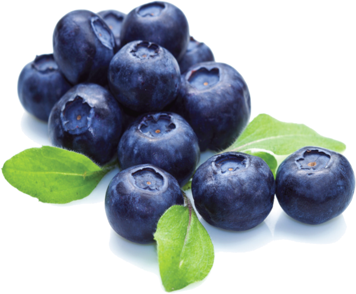 Blueberry Png File - National Blueberry Month (1650x1275), Png Download