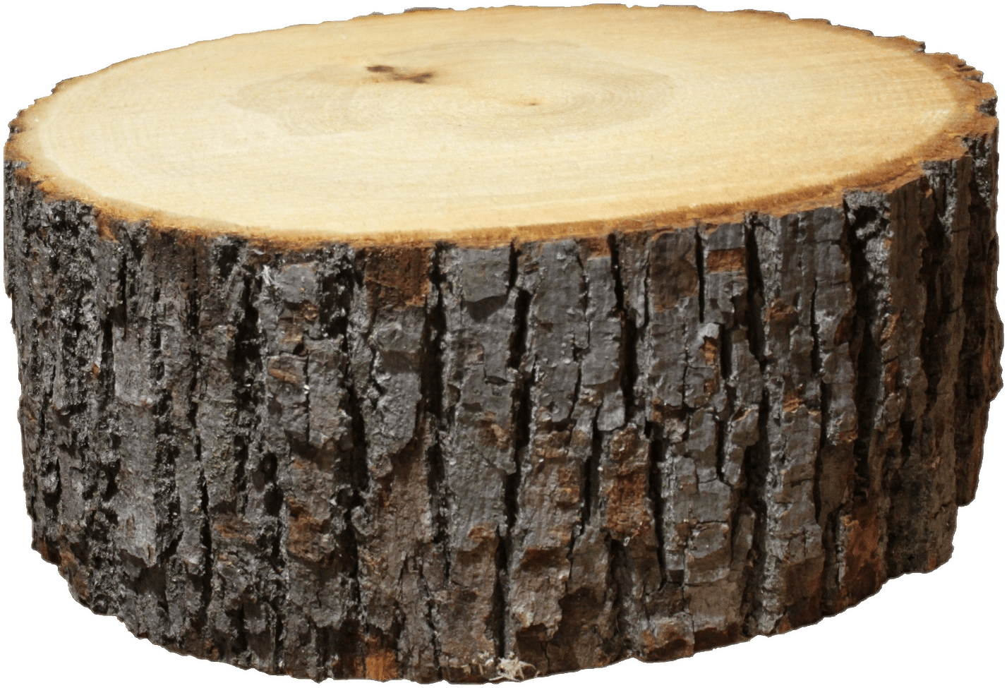 Logs - Wood Log Png (1788x1332), Png Download