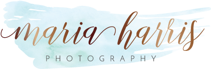 Calligraphy (540x460), Png Download